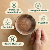 Boisson énergisante naturelle avec antioxydants - L'alternative au café