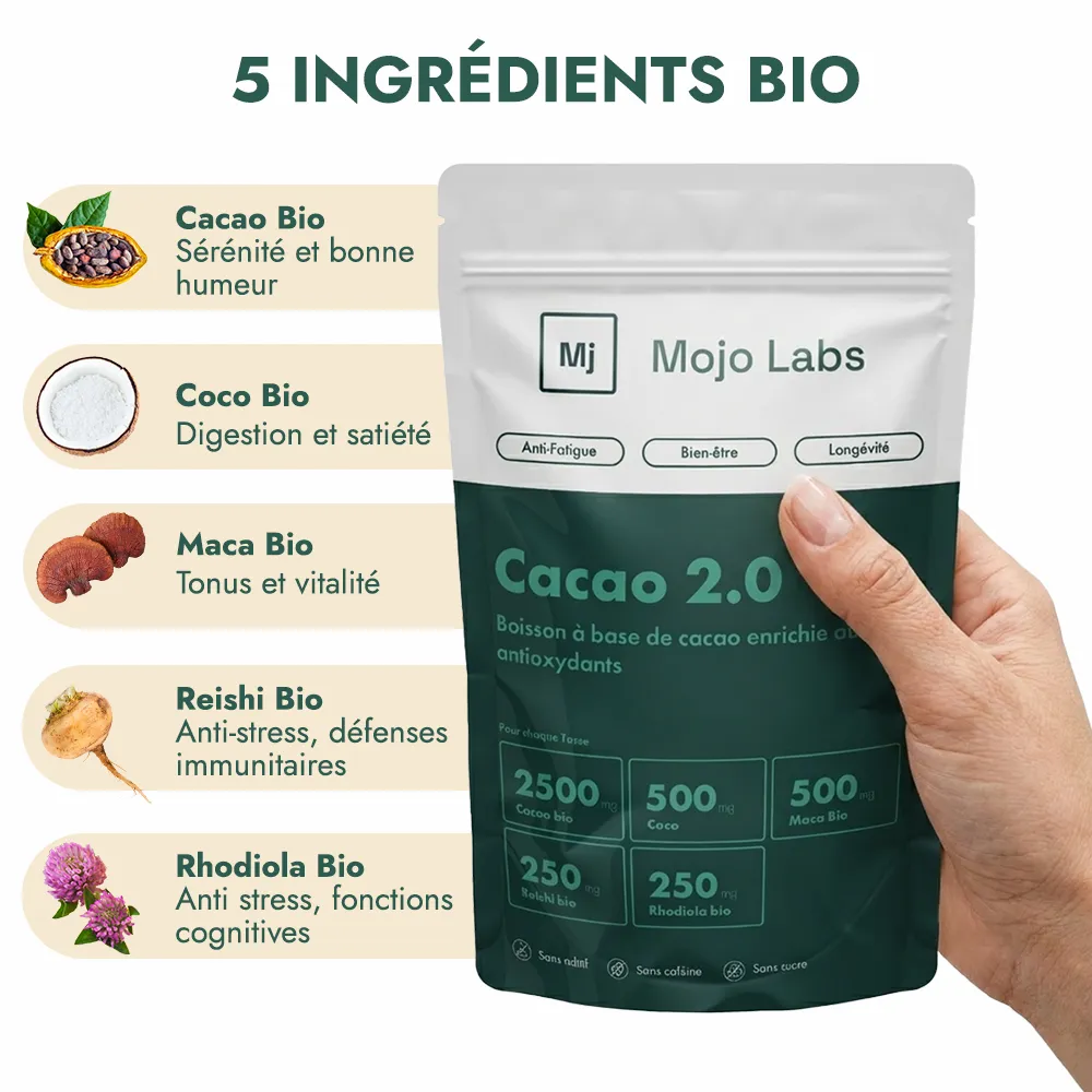 Boisson énergisante naturelle avec antioxydants - L'alternative au café